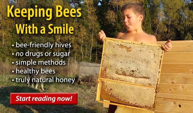 Natural Beekeeping Horizontal Hives Extra deep Frames