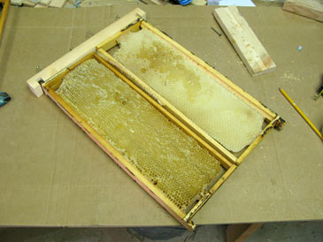 Langstroth-to-Layens Hive Conversion Free Plans ...